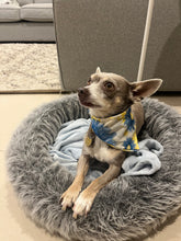 Load image into Gallery viewer, Doggy scarf