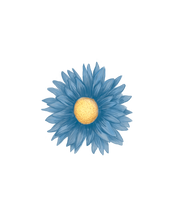 Load image into Gallery viewer, ASTER DECAL