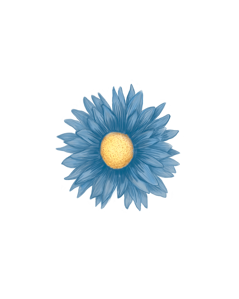 ASTER DECAL