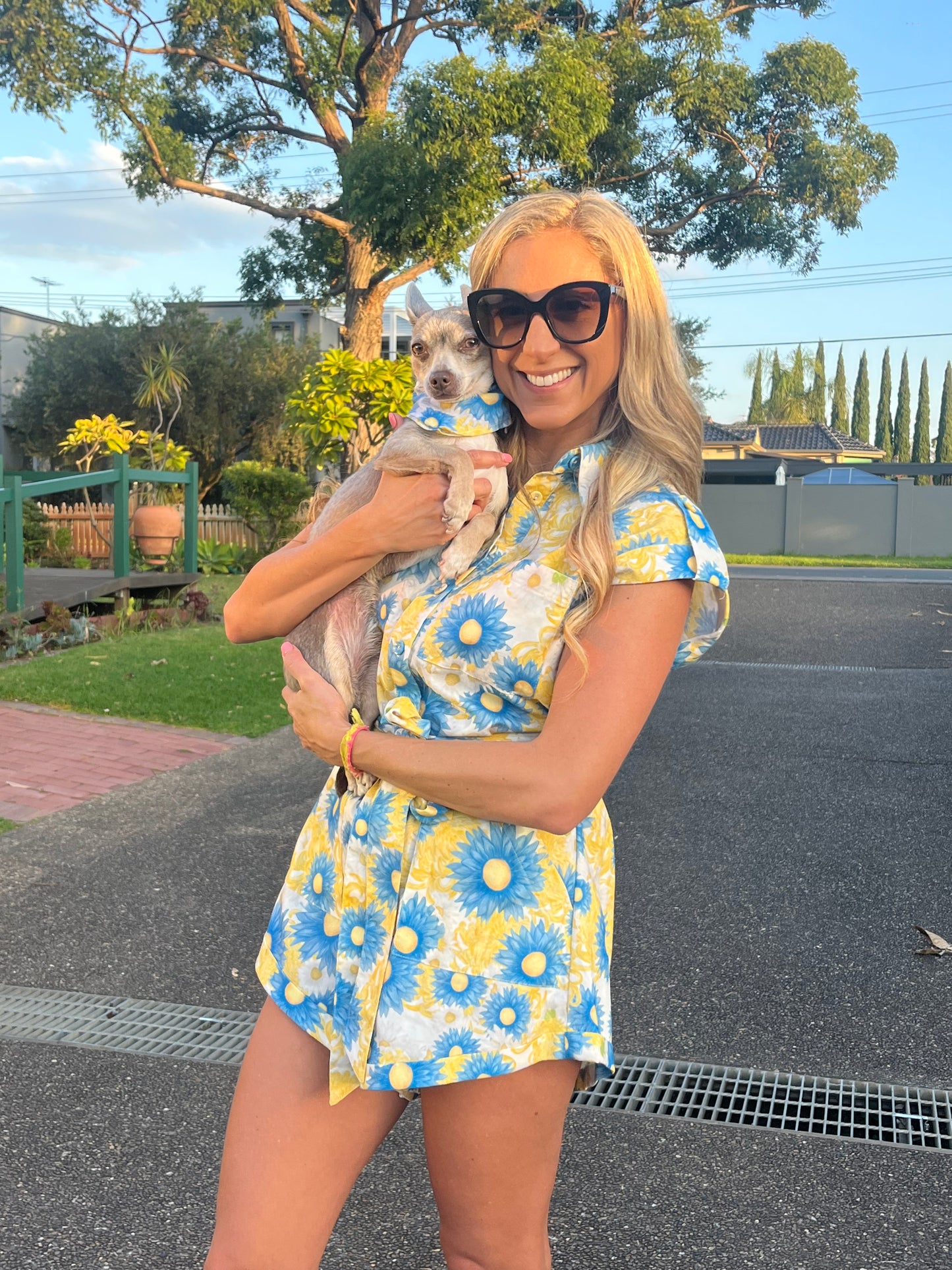 Doggy scarf