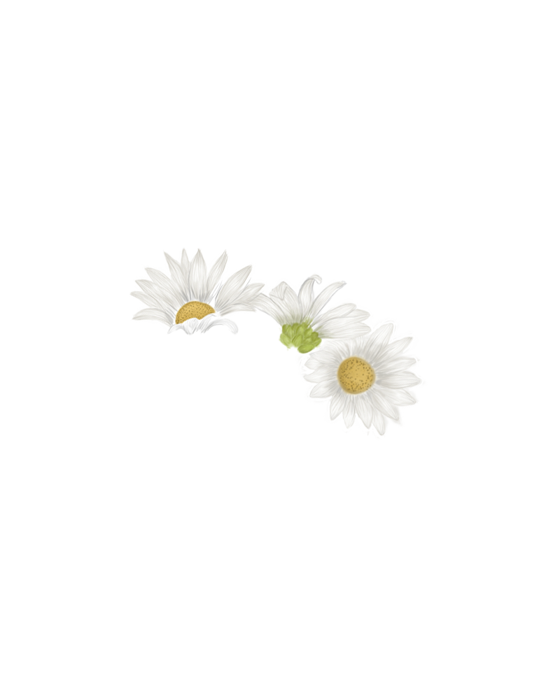 DAISY DECAL
